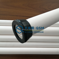 Azijn Crossflow Filtratie Microfiltratie met Keramisch Membrana 450nm Filterelement en Motor
