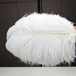 Suministro a granel <span class=keywords><strong>de</strong></span> plumas <span class=keywords><strong>de</strong></span> <span class=keywords><strong>avestruz</strong></span> blancas para cinturones, abrigos, bolsos, carnaval, bodas, disfraces y decoración <span class=keywords><strong>de</strong></span> escenarios. - Product Image 3