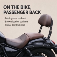 Ensemble de dossier de passager arrière pliable en plastique et cuir pour moto Qianjiang Flash 150