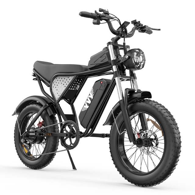 Yvy Q20 48V 20Ah Ebike Electric Moped E Bike Electric Bicycle Lithium Battery Fat Tire Electric Mountain Dirt Bike for Adults