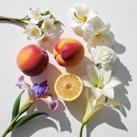 Perfume Divain 175 para Ella, Fragancia Floral, Tamaño de Viaje para Mujer, Eau de Toilette Líquida