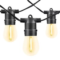 Fournisseur d'or 110V 220V 2W Éclairage en verre S14 Certifié CE RoHS Batterie au lithium