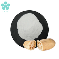 Poudre de racine de lotus séchée certifiée Halal 10:1 20:1, extrait de racine de lotus en poudre
