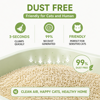 Litière pour chat en tofu durable à base de plantes, composition naturelle et biodégradable, anti-adhésive, pour chats domestiques