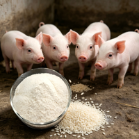 Protéine de riz hypoallergénique 70% à base de plantes, ingrédient de qualité alimentaire pour chiens, porcs, chevaux et poissons