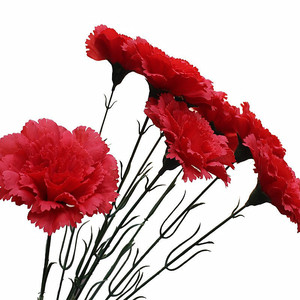 Crisantemos Artificiales en Oferta, Que No se Marchitan Fácilmente, Ideales como <span class=keywords><strong>Flores</strong></span> Conmemorativas para Familiares Fallecidos - Product Image 6
