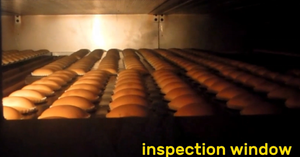 Ligne de production automatique de muffins cupcakes brownies 500 kg/h - Product Image 4