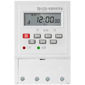 Fornitura di fabbrica timer elettronico di alta qualità 7 giorni settimanale ore digitali timer 220V school bell time controller