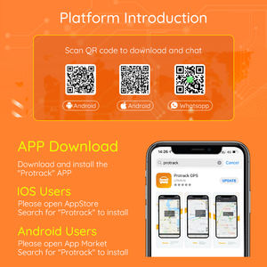 <span class=keywords><strong>Seguro</strong></span> financiero antirrobo para automóviles, rastreador GPS para vehículos con inmovilizador y relé fantasma - Product Image 6