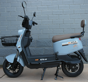 Bicicleta Eléctrica de 20 Pulgadas con Canasta, <span class=keywords><strong>500W</strong></span>, 48V12A, Batería Extraíble, Precio Directo de Fábrica, Bicicleta Eléctrica para Adultos - Product Image 2