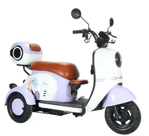 Professional Handicapped Electric Scooter Single Seat Electric Mobility Tricycle For Old People