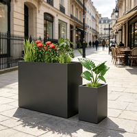 Pots de jardin en métal, jardinières, vente en gros, durables, grands, rectangulaires, en acier galvanisé, pour hôtels, jardins extérieurs - Personnalisables