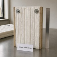 Module en fibre céramique, cheville céramique, bloc d'isolation réfractaire pour four, haute température 1430°C, revêtement blanc