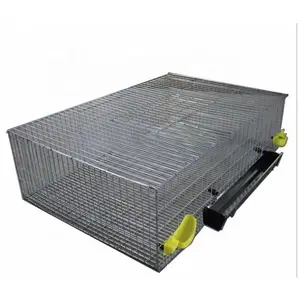 Quail Breeding Cages For Laying Hen