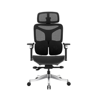 Chaise de bureau ergonomique moderne en maille nylon avec appui-tête 4D, accoudoirs 6D, soutien lombaire dynamique divisé et mécanisme d'inclinaison multifonctionnel
