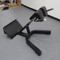 Machine d'exercice pour l'extension dorsale de type chaise romaine, équipement de fitness pour salle de sport commerciale