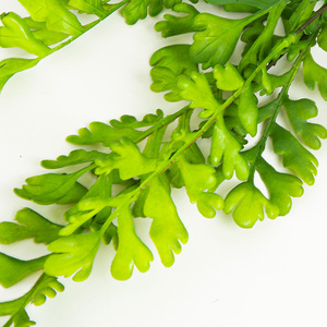 Tre forchette foglia di sedano erba artificiale <span class=keywords><strong>felce</strong></span> persiana appeso cesto di fiori decorazione <span class=keywords><strong>felce</strong></span>, erba artificiale - Product Image 3