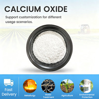 Oxyde de Calcium de Haute Qualité à Prix de Gros, Chaux Vive 200-300 Mush, Pureté 85% (CAS 1305-78-8), Régulateur de pH du Sol et Traitement des Eaux Usées