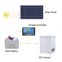 Congélateur coffre solaire DC 12V 100L 150L 200L 300L 400L 500L avec porte simple, dégivrage manuel, alimentation solaire et par batterie