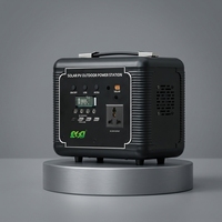 ESG 200W 300W Stockage d'énergie portable, batterie au lithium grande capacité, onde sinusoïdale pure, pour camping, voyage, voiture, urgence, alimentation extérieure
