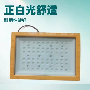 โคมไฟฟลัดไลท์ LED กันระเบิด Nftd8201 T4 L150 4X 50000ชั่วโมงเหวินโจวจีน - Product Image 5