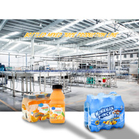 Fabriek Directe Verkoop 1000-15000bph Vruchtensap/Drinksap/Sap Drank Verwerking Productielijn