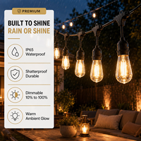 Guirlande lumineuse LED S14 rechargeable et dimmable, ampoule E26/E27, IP65, pour intérieur, fêtes, extérieur, étanche, pour camping, auvent