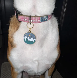 Targhetta Identificativa Personalizzata per Animali Domestici con Incisione <span class=keywords><strong>Luna</strong></span> e Stelle, Etichetta per Cani da Escursionismo e Avventura - Product Image 3