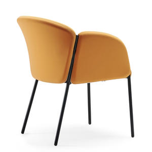 Pieds métalliques de styliste d'<span class=keywords><strong>italie</strong></span>, chaise de loisirs, ensemble de meubles de salon, restaurant, couloir, offre spéciale - Product Image 5