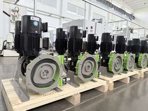 工业软管泵，类似于布雷德尔泵的蠕动泵 - Product Image 5