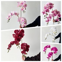 Anggrek Phalaenopsis 'Anna' yang Mirip Asli dengan 7 Bunga Besar, Lembut, dan Menyerupai Karet/PVC, Cocok untuk Meja TV Ruang Tamu yang Elegan