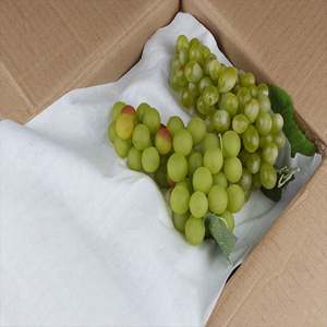 Almohadillas Absorbentes de Frutas Ecológicas para Envasado de Alimentos - Product Image 3