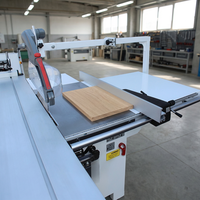 Scie à panneaux à table coulissante SEGA 350 de marque italienne, robuste, haute efficacité, pour la menuiserie et la fabrication de meubles