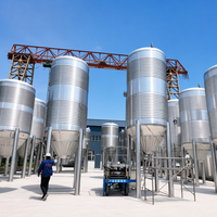 Cuve de Fermentation de Bière Artisanale Tonsen 30000L 300HL 30T en Acier Inoxydable avec Contrôle de Température par Refroidissement