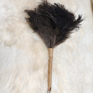 Xách tay Trung Quốc Sản phẩm tre xử lý đà điểu lông Khăn lau bụi - Product Image 4