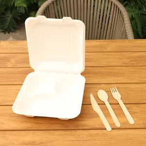 Bagasse Papieren Borden Lunchbox Bagasse Voedsel Verpakking Bagasse Producten