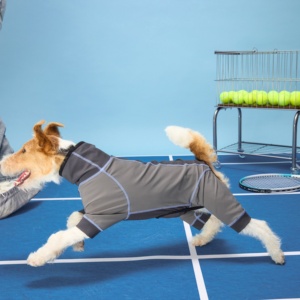 Abbigliamento Personalizzato per Cani all'Ingrosso, Giacca Regolabile Traspirante e Leggera per Bassotto e Cani di Piccola Taglia - Product Image 2