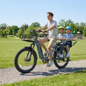 Vélo cargo électrique 24'' 50-55km <span class=keywords><strong>Shimano</strong></span> 7 vitesses Moteur arrière sans balais 48V 15AH Batterie lithium 250W Marchepieds en aluminium - Product Image 1