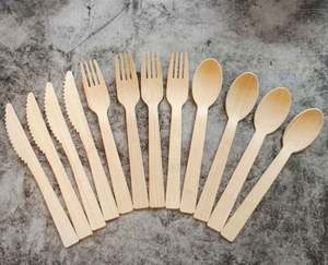 Nouveauté 2024 : Ensemble de Couverts Jetables en Bambou Moso Certifié, 666 Pièces, avec Assiettes, Pailles, Sel et Poivre, Logo Personnalisé - Product Image 4