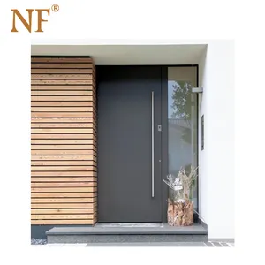 कस्टम मेड बाहरी एकल दरवाजा उच्च सुरक्षा सामने वाले दरवाजे के डिजाइन धुरी दरवाजा