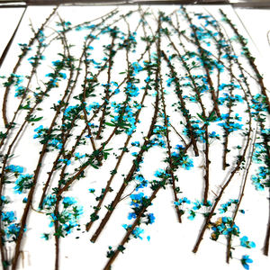 <span class=keywords><strong>Thunberg</strong></span> Spiraea/<span class=keywords><strong>Thunberg</strong></span>'s Meadowsweet avec tige fleurs pressées cadres d'art époxy en résine pour Noël Saint Valentin - Product Image 6