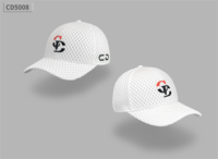 Hoge kwaliteit 5-panel luipaardprint katoenen custom geborduurde golf baseball pet fabriek groothandel gepersonaliseerd logo ademende pet
