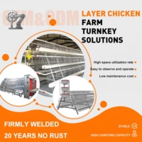 Cage à poules pondeuses de type A, conception personnalisée, galvanisée à chaud, cage en batterie à 3/4 niveaux pour ferme avicole, directement de l'usine
