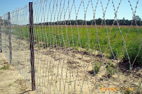 Cerca de seguridad de malla de alambre de púas soldada tipo concertina, ecológica y moderna para protección perimetral