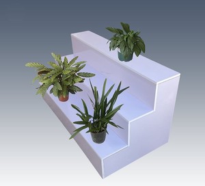 Floristería Exhibición Gabinete Tienda Promoción Exhibición Floristería Exhibición Soporte - Product Image 1