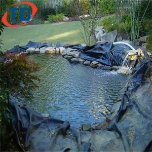 0.45mm 0.75mm 1mm 1.5mm HDPE <span class=keywords><strong>geomembrane</strong></span> LDPE cho Nuôi Cá Ao Lót nhân tạo hồ lót dam lót <span class=keywords><strong>geomembrane</strong></span> 45mil - Product Image 2