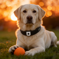 Mini traceur GPS 4G pour animaux de compagnie (chiens et chats) – Collier intelligent WiFi antivol et étanche pour la prévention des pertes
