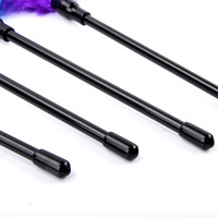 Flirt Esclave pour Couple Adulte Jeu Tease Plume Chatouiller Bâton Flirter Fessée Slapper Doux Plume Fouet Sex Toys