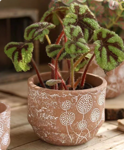 Macetas de Fibra de Vidrio Ligeras con Relieve Contemporáneo para Interiores y Exteriores, Jardín y Hogar, con Drenaje para Plantas y Suculentas - Product Image 5