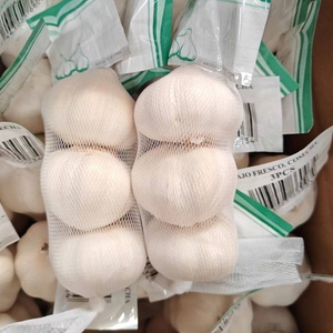 Buon prezzo 2025 vendite calde nuovo aglio fresco con 10KG /20KG sacchetto della maglia rosso aglio e puro aglio bianco per il commercio all'ingrosso - Product Image 5